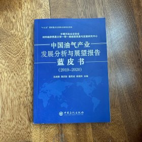 中国油汽产业发展分析与展望报告蓝皮书（2019-2020）