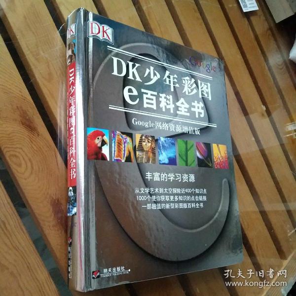 DK少年彩图e百科全书：Google网络资源增值版（彩印）