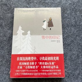 雪中的印记