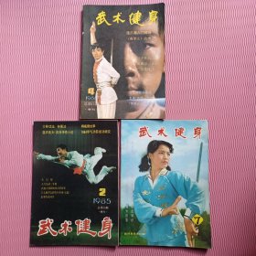 武术健身 （3本合售）