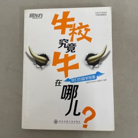 新东方·牛校究竟牛在哪儿？：我们的留学故事