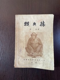 猴與猿