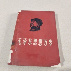 毛泽东思想王随