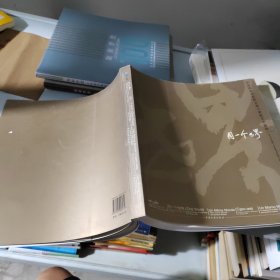 中国画家彩绘联合国大家庭艺术画册：同一个世界