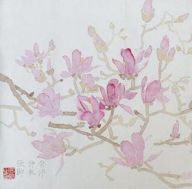 没骨花鸟 玉兰花