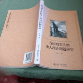 我国刑事法治重大理论问题研究