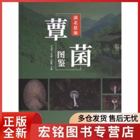 湖北恩施覃菌圖鑒