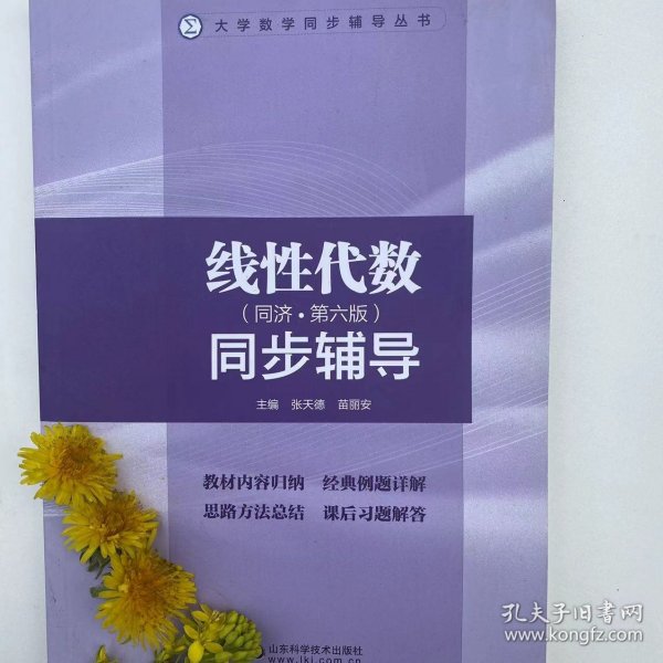 【二手正版书】线性代数同步辅导 同济大学数学系 第六版 张天德 线代同济六版辅导书第6版辅导和习题解答详解课后练习题答案 9787533157241