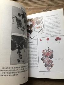 国画书籍 怎样画国画 适合初学者系统学习