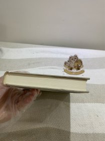 改变中国：在中国的西方顾问