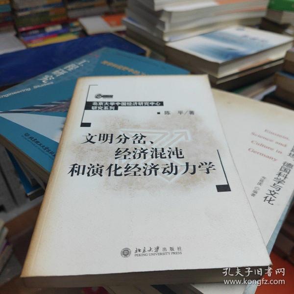 文明分岔、经济混沌和演化经济动力学