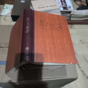 星火燎原选编之十