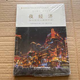 夜经济/技术要点系列丛书