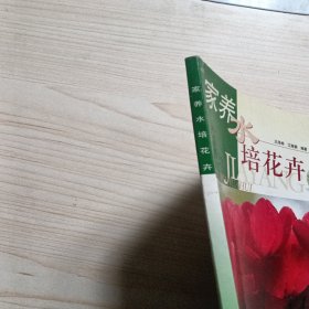 家养水培花卉