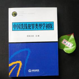 中国洗钱犯罪类型学初探