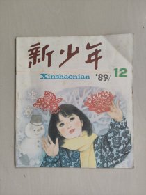 老杂志：《新少年》1989年第12期，1989.12，有连环画《英雄秀才》等作品，详见图片及描述