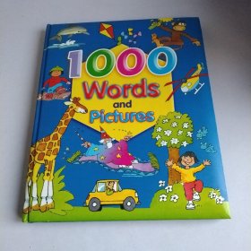 1000 Words and Pictrues