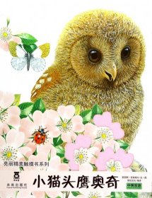 亮丽精美触摸书系列：小猫头鹰奥奇（中英双语）
