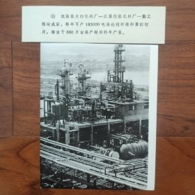 1983年，中国最大的化纤厂---江苏仪征化纤厂（仪化公司）建成投产