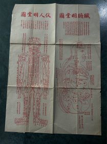 民国，伏人明堂图，脏腑明堂图