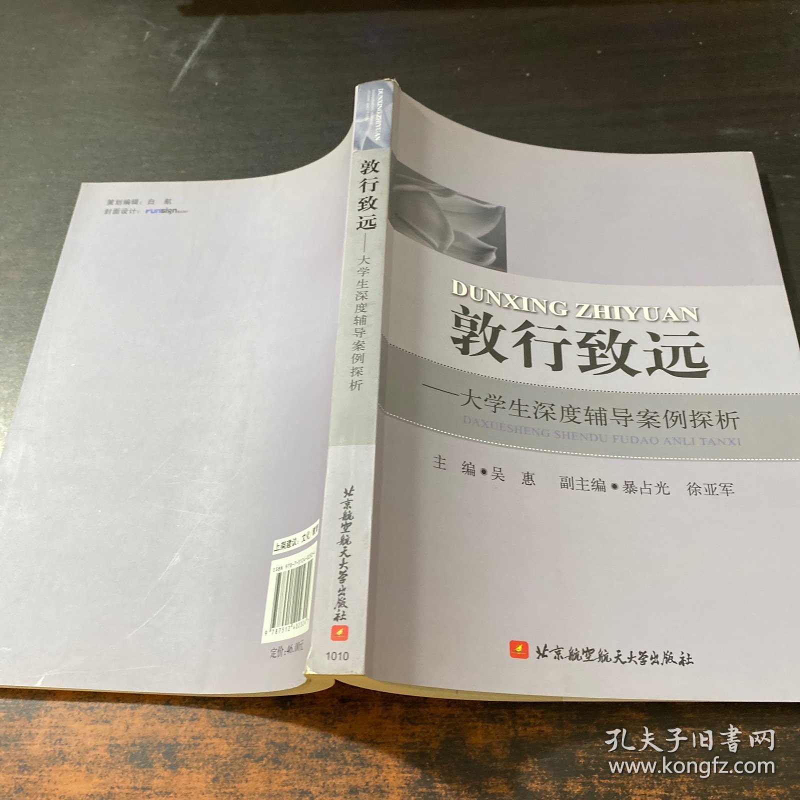 敦行致远--大学生深度辅导案例探析