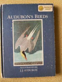 audubons animals Audubons birds