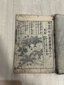 清时期 木版印刷 植物百科