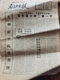 《右江日报》【百色县大种二薯一芋；（田东县）思林公社掀起抢种木薯豆类群众运动；（百色）那毕农场分枝移植木薯的经验；田东县大力整治抗旱物资供应；靖西县备足夏收夏种工具；巴马商业部门积极支援抗旱抢种；事事依靠贫下中农，处处关心群众利益，中共保德县委号召全体干部展开学习黄克深运动，有照片】