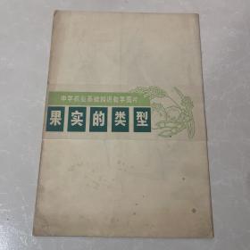 果实的类型中学农业基础知识教学图片（两幅图 附说明书）