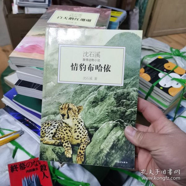 情豹布哈依：沈石溪激情动物小说