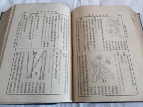 民国时期旧书16开大本植物学大辞典，带插图，详情见图！