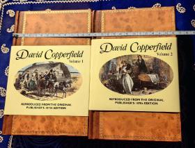 【绝版稀见书】《David Copperfield》( Reproduced From The Original Publisher's 1870s Edition ,Illustrations：H.K.Browne )
《大卫·考坡菲》或《大卫·科波菲尔》、《块肉余生述》、《块肉余生记》( 1870年代初版的英文精装复刻摹本一套两册，笔名“菲兹/费兹/Phiz” 的H.K.布朗绘制插图 ）