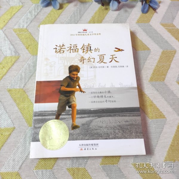 诺福镇的奇幻夏天