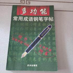 多功能常用成语钢笔字帖