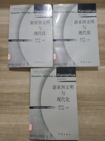 新亚洲文明与现代化，单本卖，随机发货