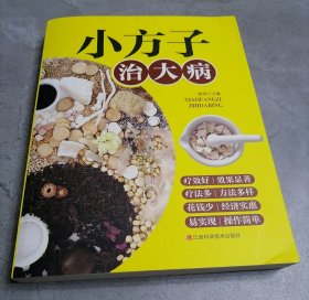 小方子治大病
