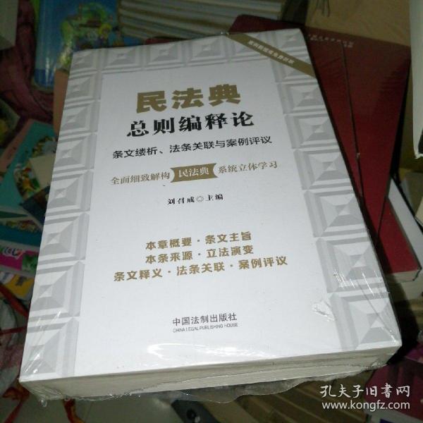 民法典总则编释论：条文缕析、法条关联与案例评议