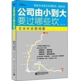 公司由小到大要过哪些坎：—解密创业企业成长经营3阶段、10基因；宋新宇推荐“能长大的企业是有规律的，中小企业的成长地图”； 7大本土全景案例.博瑞森