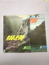 纵横1990年5  6