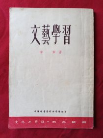 文艺学习