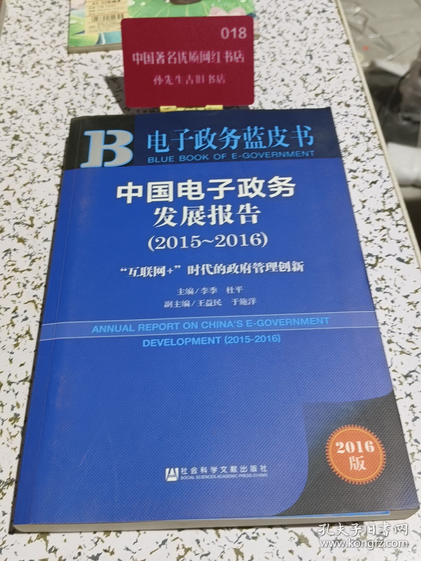 中国电子政务发展报告（2015～2016）：“互联网+”时代的政府管理创新