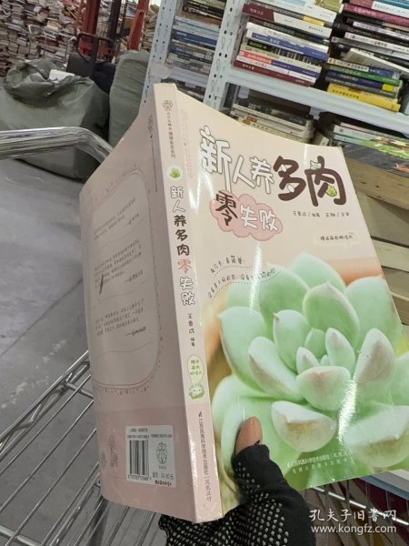 新人养多肉零失败