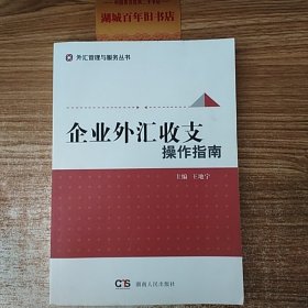 企业外汇收支操作指南