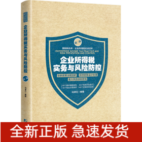 企业所得税实务与风险防控(第2版)