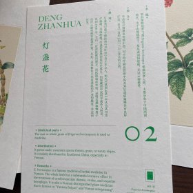 云南本草博物（15张）