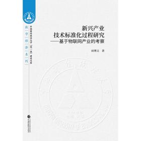 新兴产业技术标准化过程研究