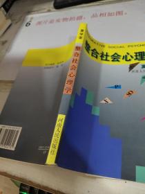 整合社会心理学   平装 32开