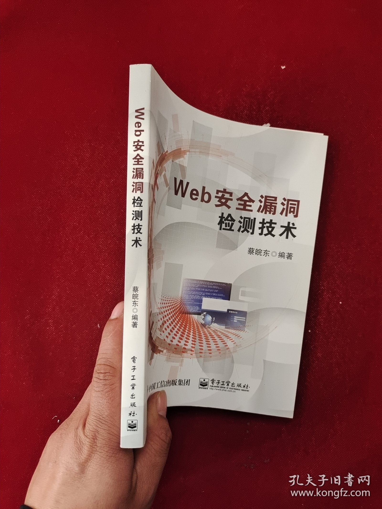 Web安全漏洞检测技术