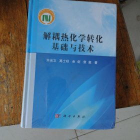 解耦热化学转化基础与技术