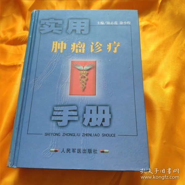 实用肿瘤诊疗手册 精装